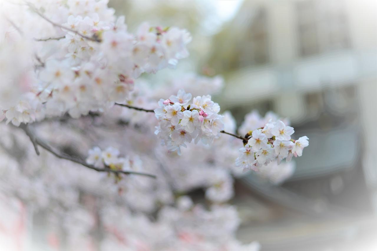 Hotel Plaza Umeshin Kitashinchi Osaka Eksteriør billede